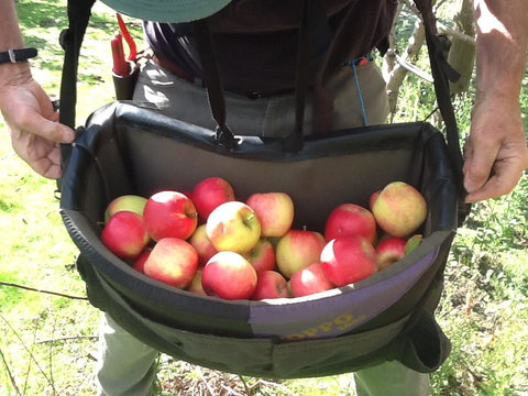 Eureka Farm - Tourism Caloundra 24