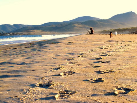 Eureka Farm - Tourism Caloundra 21