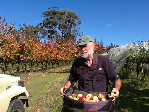 Eureka Farm - Tourism Caloundra 19