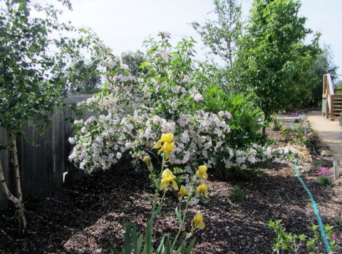 Elm Trees Accommodation @ Ross - Tourism Caloundra 7