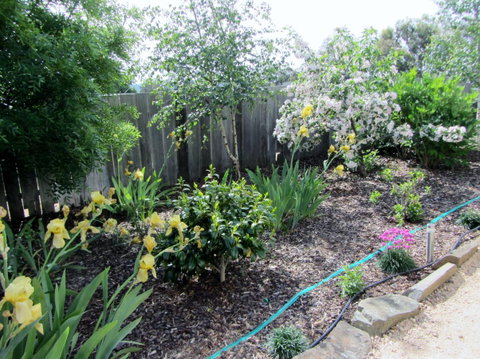 Elm Trees Accommodation @ Ross - Tourism Caloundra 6