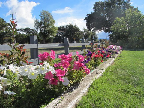 Elm Trees Accommodation @ Ross - Tourism Caloundra 24