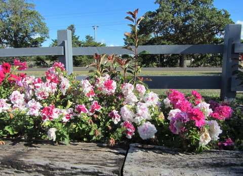 Elm Trees Accommodation @ Ross - Tourism Caloundra 25