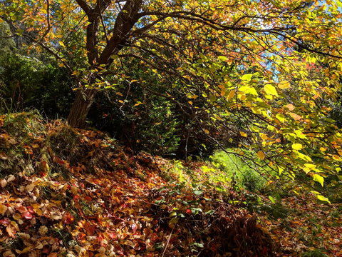 Mountain Blue Guest House - Tourism Caloundra 9