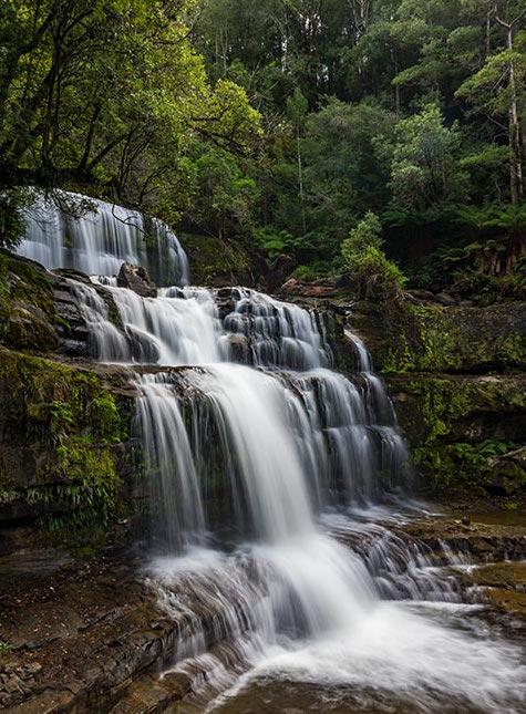 Mountain Blue Guest House - Tourism Caloundra 22