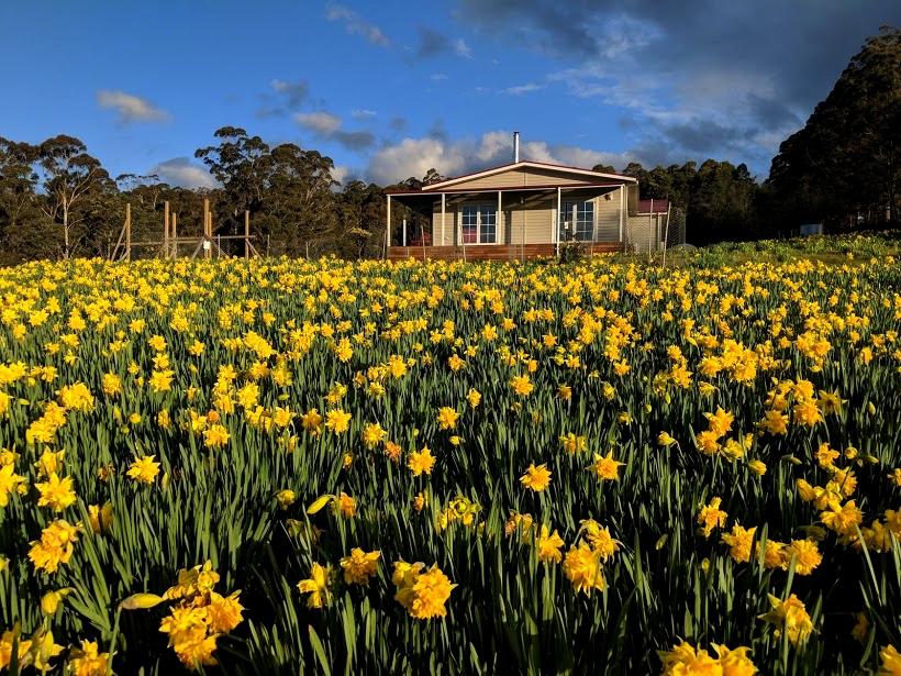 Golden Valley TAS Tourism Caloundra