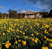 Mountain Blue Guest House - Tourism Caloundra