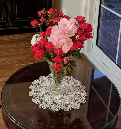 Mountain Blue Guest House - Tourism Caloundra 8