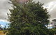 Old White Church Bed & Breakfast - thumb 7