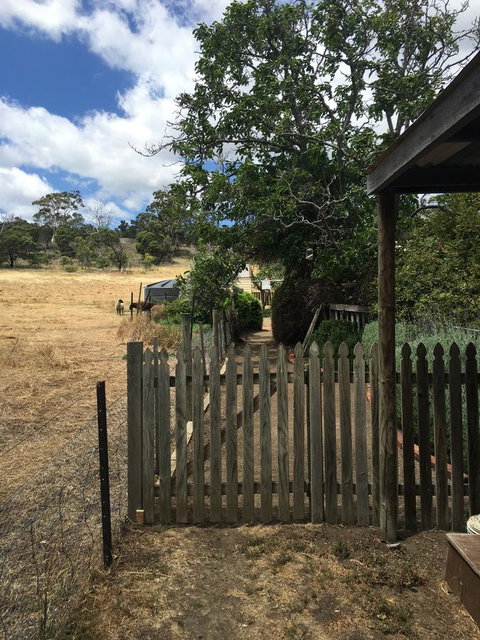 Walnut Cottage - Tourism Caloundra 13