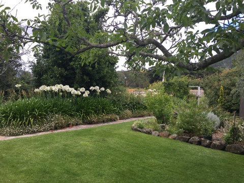 Walnut Cottage - Tourism Caloundra 15