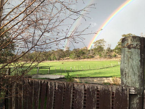 Walnut Cottage - Tourism Caloundra 17