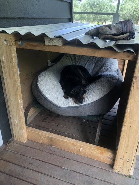 Olivi - Tourism Caloundra 3