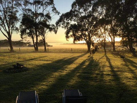 Olivi - Tourism Caloundra 0