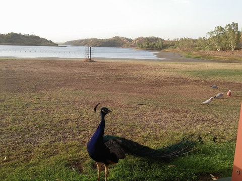 Overlander Hotel - Tourism Caloundra 2