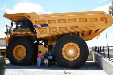 Paddys Golden Patch - Tourism Caloundra 0