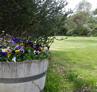 Padthaway Caravan Park - Tourism Caloundra