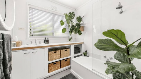 PERIWINKLE - MOUNT MARTHA - Tourism Caloundra 1