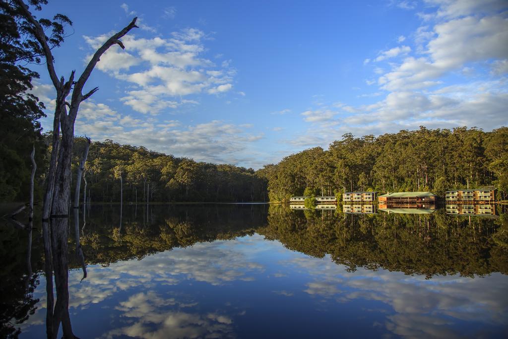 Beedelup WA Tourism Caloundra