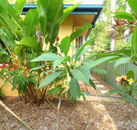 Rainforest Cottage Cairns - Tourism Caloundra
