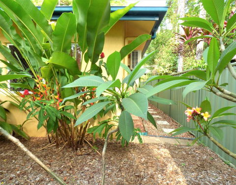 Rainforest Cottage Cairns - Tourism Caloundra 0