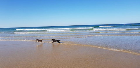 Red Door Beach House - Marcoola Beach - PET FRIENDLY, FOXTEL, WIFI, 500 BOND, Linen Supplied - Tourism Caloundra 1