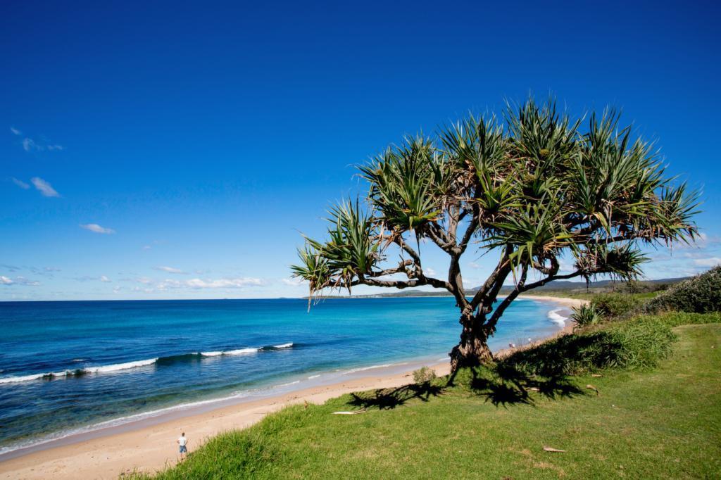 Corindi Beach NSW Tourism Caloundra