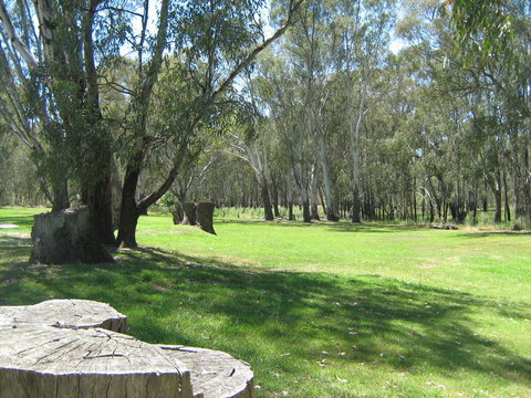 Rivergum Holiday Park - Tourism Caloundra 2