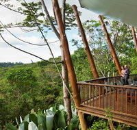 Rose Gums Wilderness Retreat - Tourism Caloundra