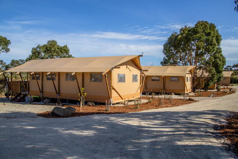 Scamander Sanctuary Holiday Park - Tourism Caloundra 1