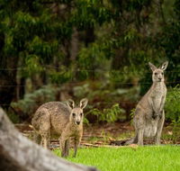 Secura Lifestyle Countryside Kalaru - Tourism Caloundra