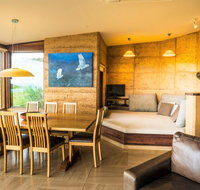 Sheoaks - Tourism Caloundra
