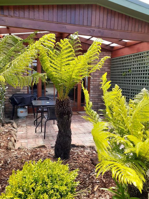 Sleepy Hollow Hideout (Hidout 2) - Tourism Caloundra 1