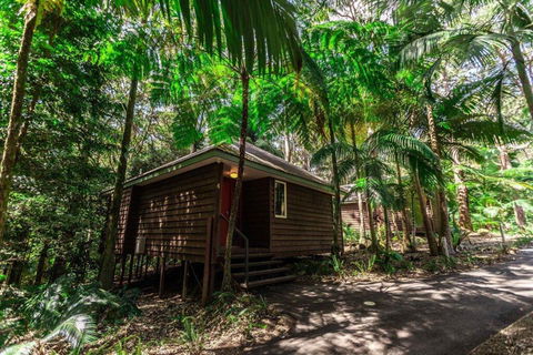 Songbirds Rainforest Retreat - Tourism Caloundra 2