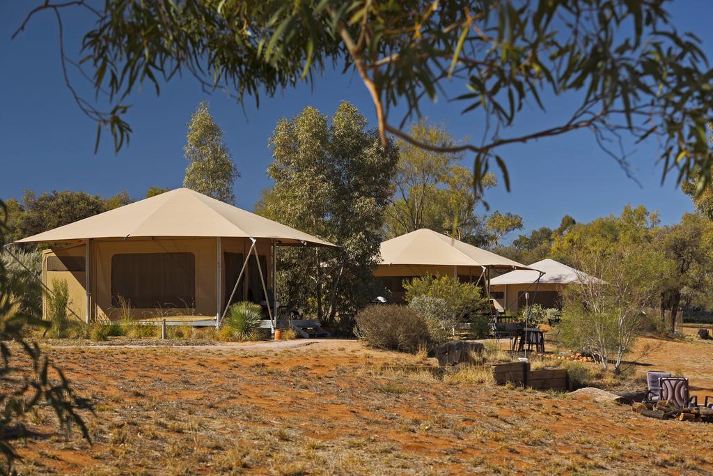 Larapinta NT Tourism Caloundra