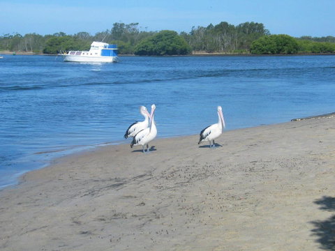 Stunning Holiday Townhouse - Tourism Caloundra 3