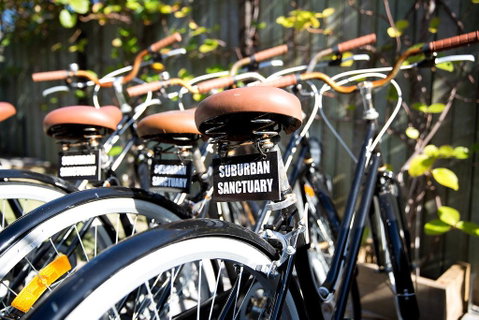 Suburban Sanctuary - Tourism Caloundra 1