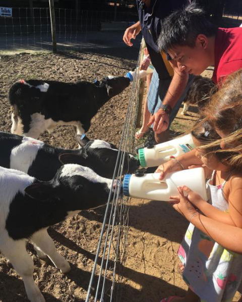 Sunflowers Animal Farm & Farmstay - Tourism Caloundra 3