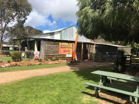 Sunflowers Animal Farm & Farmstay - Tourism Caloundra 2