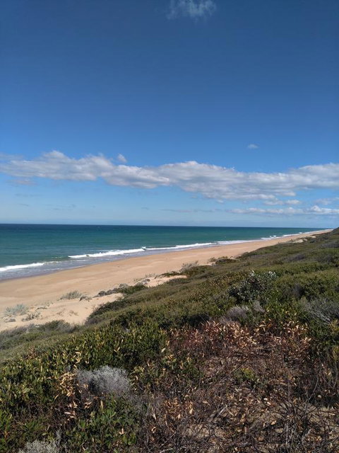 Symuya - Tourism Caloundra 1