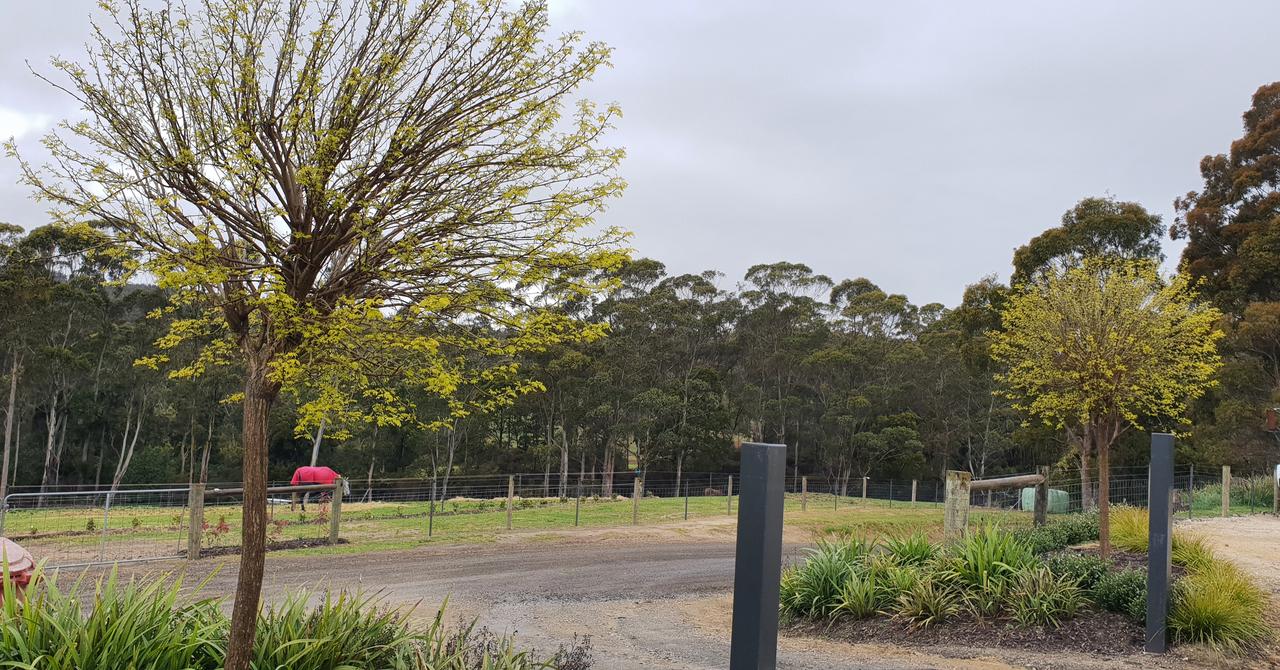  Tourism Caloundra