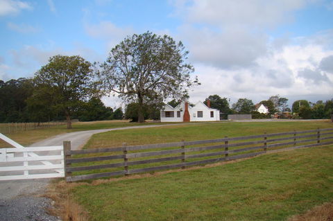 Buttons Cottage For Canyon & Rain Forest Walks With In House Dining - Tourism Caloundra 16
