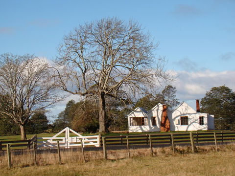 Buttons Cottage For Canyon & Rain Forest Walks With In House Dining - Tourism Caloundra 7