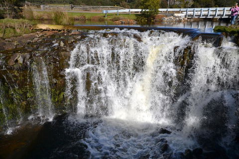 Buttons Cottage For Canyon & Rain Forest Walks With In House Dining - Tourism Caloundra 30