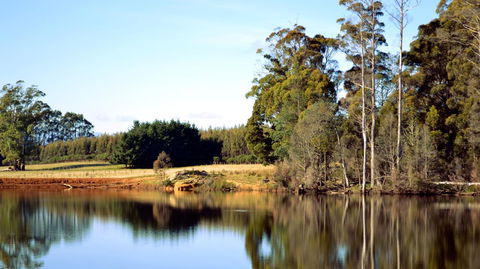 Buttons Cottage For Canyon & Rain Forest Walks With In House Dining - Tourism Caloundra 29