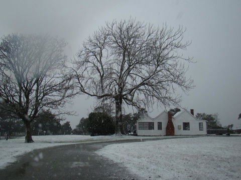 Buttons Cottage For Canyon & Rain Forest Walks With In House Dining - Tourism Caloundra 11