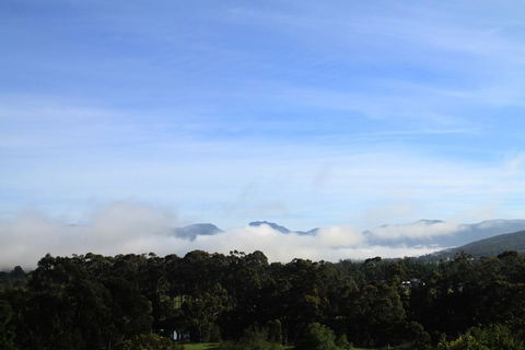 BIG.SHED.HOUSE - Tourism Caloundra 11