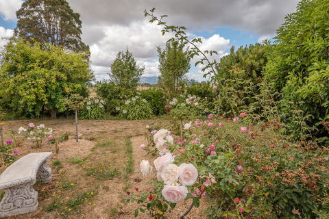Glencoe Country Bed And Breakfast - Tourism Caloundra 21