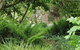 Whispering Hills Retreat - thumb 15