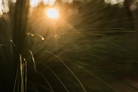 Bay Of Fires Bush Retreat - Tourism Caloundra 26